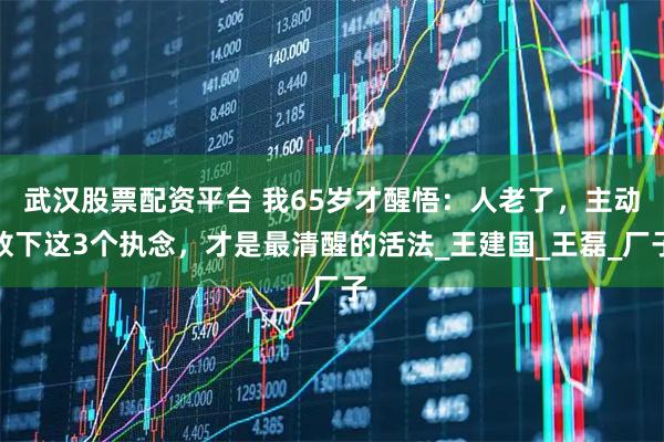 武汉股票配资平台 我65岁才醒悟：人老了，主动放下这3个执念，才是最清醒的活法_王建国_王磊_厂子